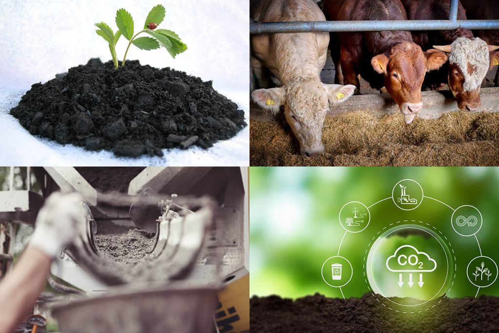 Using Charcoal as Biochar